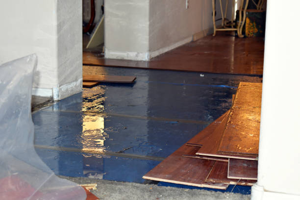 Professional Burst Pipe Cleanup technician working in Etowah, NC